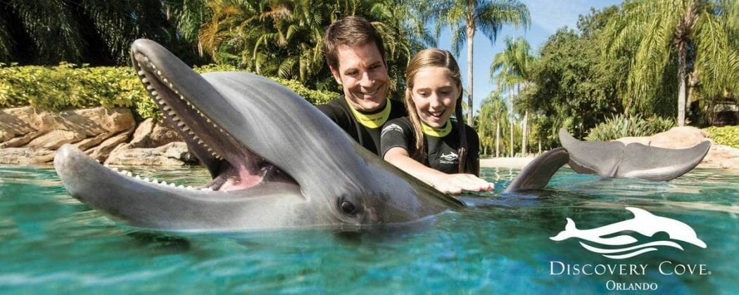 Discovery Cove Welcomes Florida Residents Back with Limited Time Offer