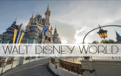Walt Disney World Vacation Quote